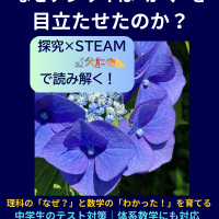 アジサイの“がく”が目立つ理由を探究的に学ぶ理科のSTEAMビジュアル。中学生のテスト対策や体系数学対応の塾教材例にも活用。