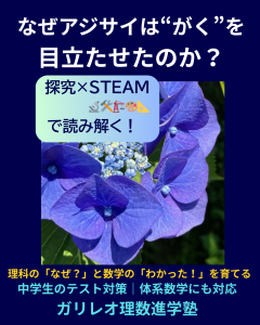 アジサイの“がく”が目立つ理由を探究的に学ぶ理科のSTEAMビジュアル。中学生のテスト対策や体系数学対応の塾教材例にも活用。