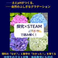 アジサイの色がちがう理由を土とpHの視点から探究し、STEAM教育で読み解くガリレオ理数進学塾の探究学習ビジュアル