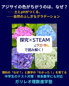 アジサイの色がちがう理由を土とpHの視点から探究し、STEAM教育で読み解くガリレオ理数進学塾の探究学習ビジュアル