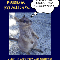 中学1・2年生が数学で「なぜ点が取れないの？」と感じる疑問に一緒に悩むカンガルーの写真