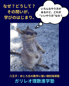 中学1・2年生が数学で「なぜ点が取れないの?」と感じる疑問に一緒に悩むカンガルーの写真
