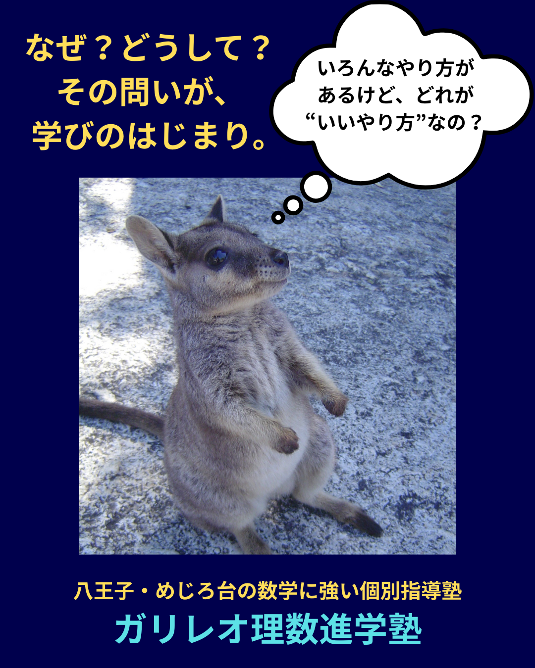中学1・2年生が数学で「なぜ点が取れないの？」と感じる疑問に一緒に悩むカンガルーの写真