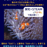 イソギンチャクの中を泳ぐクマノミと、その共生のしくみを探究するSTEAM教育ビジュアル
