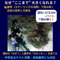 オオシャコガイはなぜ“ここまで”大きくなれる？スケーリングの法則で成長の限界を読み解く探究型STEAM教育ビジュアル（ダイバーとシャコガイの写真付き）