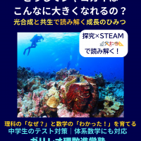 外套膜を広げて光を浴びるシャコガイ。共生する褐虫藻によって成長する仕組みを探る理科STEAM探究記事