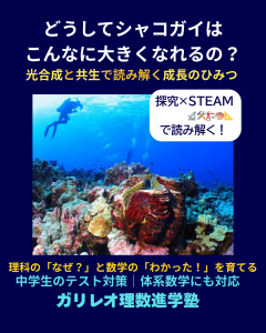 外套膜を広げて光を浴びるシャコガイ。共生する褐虫藻によって成長する仕組みを探る理科STEAM探究記事