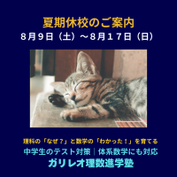 2025年夏期休校のお知らせ｜ガリレオ理数進学塾（8月9日～17日）休校案内と休息する子猫の写真