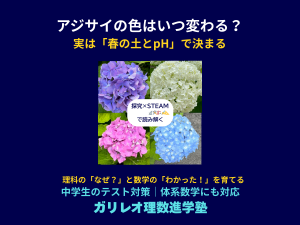 アジサイの花の色が土壌pHによって変わる仕組みを説明するSTEAM教育の図（青・ピンク・白・紫のアジサイ）